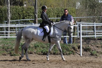 Bild 254 - WBO-Turnier am 9.4.11
